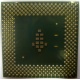 Процессор Intel Celeron 1000A SL5ZF (1000MHz /256kb /100MHz /1.475 V) s370 (Заря)
