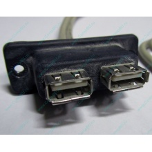USB-разъемы HP 451784-001 (459184-001) для корпуса HP 5U tower (Заря)