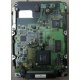 Жесткий диск 18.4Gb Quantum Atlas 10K III U160 SCSI (Заря)