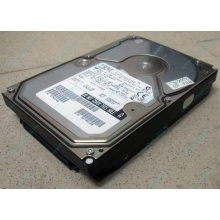 Жесткий диск 18.2Gb IBM Ultrastar DDYS-T18350 Ultra3 SCSI (Заря)