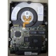 Жесткий диск 18.2Gb IBM Ultrastar DDYS-T18350 Ultra3 SCSI (Заря)