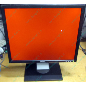 Dell E197F P в Заре, монитор 19" TFT Dell E197FPb (Заря)