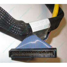 Кабель SCSI HP 166298-037 для HP ML370 G4 (Заря)