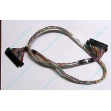 6017B0045301 в Заре, 68pin SCSI кабель 26.5" / 57cm для корзины HDD Intel SR2400 (Заря)