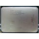 AMD Opteron 6128 OS6128WKT8EGO (Заря)