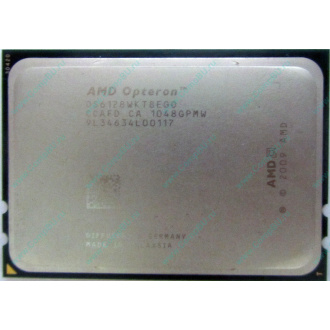 AMD Opteron 6128 OS6128WKT8EGO (Заря)