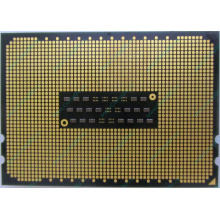AMD Opteron 6128 OS6128WKT8EGO (Заря)