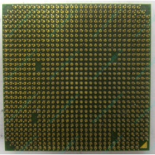 Процессор AMD Sempron 3000+ (1.6GHz) SDA3000IAA3CN s.AM2 (Заря)